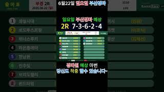 6월22일 일요일 부산 경마 예상 적중만이 살 길이다.#경마 #경마예상 #AI예상 #Shorts #추천영상#부산경마