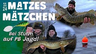 Matzes Mätzchen - Bei Sturm auf PB-Jagd!