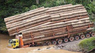 HUGE TRUCKS Logging WOOD | EXTREME DANGEROUS OPERATORS