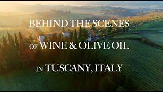 TUSCAN GRAPE & OLIVE HARVEST: Behind the Scenes of Wine and Olive Oil in Tuscany, Italy