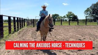 D/C Calming the Anxious Horse Techniques