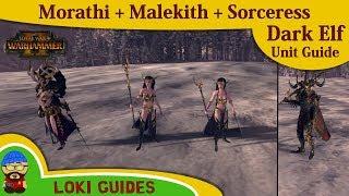 Dark Elf Unit Guide: Morathi & Malekith & Sorceress - Total War: Warhammer 2 Army Review