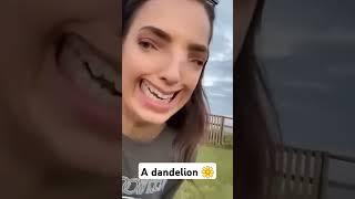 Oh, look, a dandelion!  #funny #memes #comedy #iceage