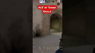 ACE by Shark Eagle with Famas Weapons