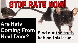 RATS coming from NEIGHBOURS house into your home? You need to know because....