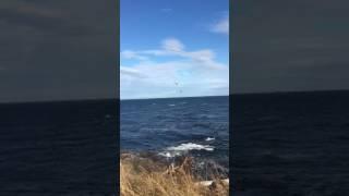 Kitesurfers in Victoria BC July 10 2017