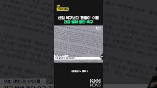 "벌목 명목으로 돈벌이", 긴급 벌채 중단 촉구 / KNN
