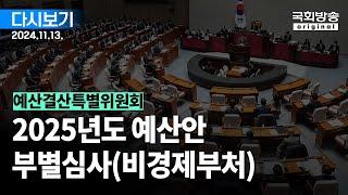 [국회방송 생중계] 예산결산특별위원회 - 2025년도 예산안 부별심사(비경제부처) 1부 (24.11.13.)