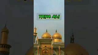 YEHA ALI YEHA HOSAIN YEHA HASAN #shorts #trending #viral #karbala