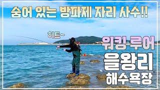 을왕리해수욕장 워킹 루어 포인트Fishing in Eurwangni Beach