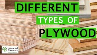 What are the 3 Different Types of Plywood you Can Buy at Universal Ply Durban South Africa