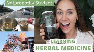 Herbal Medicine Workshop VLOG| Naturopath Herbs | Torrens University Australia