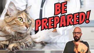 Vet Shares Her Must-Have Cat Survival Kit!