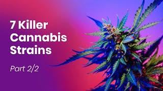 7 KILLER Cannabis Strains - PRO Smokers Only!