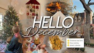 HELLO DECEMBER | getting our tree, cozy cooking, advent activity calendar, & Christmas village