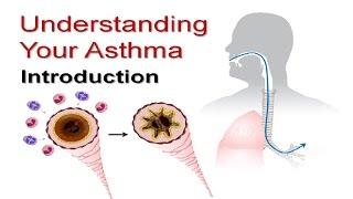 Understanding Your Asthma Part 1: Introduction to Asthma