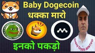 Baby dogecoin धक्का मारो, BONK, PEPE, MYRIA इनको पकड़ो || Crazy Crypto Mintoo