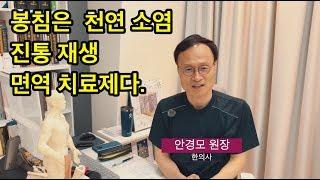 #9 봉침은  천연 소염 진통 재생 면역 치료제다. 한의사 안경모