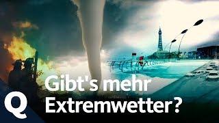 Wird das Wetter wirklich immer extremer? | Quarks