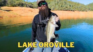 We Snuck Into BASS UNIONS Backyard - Lake Oroville Winter Bass Fishing