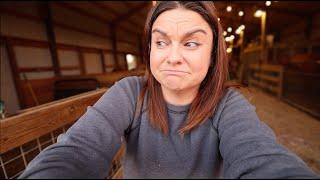 Arguing with Turkeys (Evening in the Barn) | Homestead Family VLOG