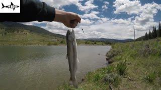 Fishing At Dillon Reservoir!(catches beautiful trout)