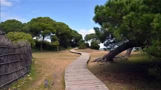 Places to see in ( Andalusia - Spain ) Parque Nacional de Donana