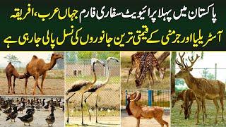 Pakistan's First Private Safari Farm - All Expensive and Rare Animals' Breeding in One Place