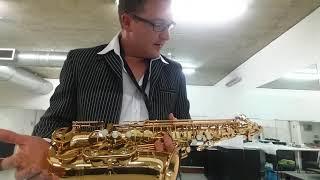 PMauriat Alto Saxophone PMSA-185