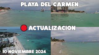 PLAYA DEL CARMEN ULTIMA HORA11 NOVIEMBRE 2024 | MUCHA GENTE