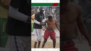 A Sneak Punch Sends Warrior To The Ground! #boxing #shorts #dambe #fight #combat #ufc #mma #africa