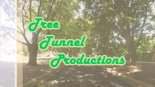 Tree Tunnel Productions Logo