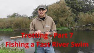 Trotting - Part 7 - Trotting a Fast River Swim