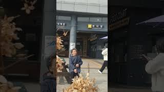 작은체구로 황소처럼 일만 하시던 우리엄마~사진찍는다고 했더니 머리단장을 하십니다