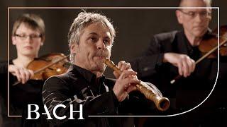 Bach - Sinfonia from Cantata BWV 156 - Mortensen | Netherlands Bach Society