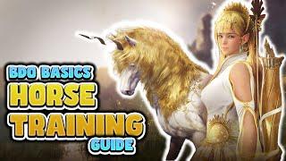 2024 Horse Training Guide for Black Desert Online | BDO Basics