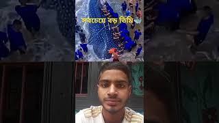 পৃথিবীর সবচেয়ে বড় তিমি ||#youtubeshorts #facts #comedy #funny #magic #viralvideo #challenge