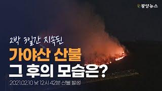 가야산 산불, 그 후의 모습은? / 광양뉴스 2021.02.24.