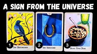 A SIGN From The UNIVERSE! ⭐️⭐️⎮pick a card 🃏 tarot reading