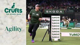 Agility - Singles Heat Part 1 (Agility) | ​Crufts 2024