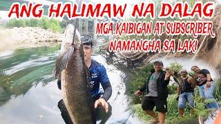 Bahay ng Halimaw na Dalag Natuklasan ng mga Kaibigan at Subscriber, Namangha sila Sa Laki!!!