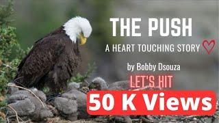 The Push II The Inspiring Eagle Story  II David McNally Book II Bobby Dsouza