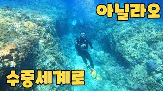  아닐라오 해저 여행 스쿠버 다이빙 GAG DIVERs SCUBA TEAM.