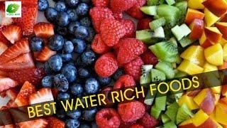 Best Water Rich Foods | Best Food Tips | Educational Videos