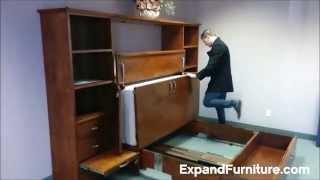 Hidden Cabinet Bed with Storage. Perfect for NYC