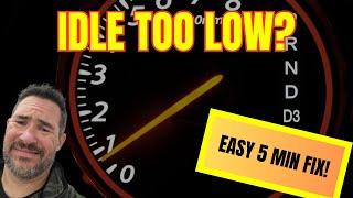 Toyota Scion idles too low!  What causes it and how to fix it fast and cheap!