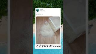 これは泣ける....#shorts#面白い#全米#泣ける#状況#草