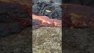 Banana thrown into Icelandic volcano lava at Reykjanes. WILL IT SURVIVE?