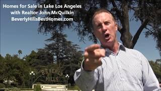 Homes for Sale in Lake Los Angeles CA with Real Estate Agent John McQuilkin