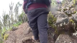 Machame Camp to Shira Camp - Day 2 - Machame Route